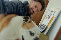 克莱深情告别Rocco：一只传奇的王朝狗狗，我将永远怀念你