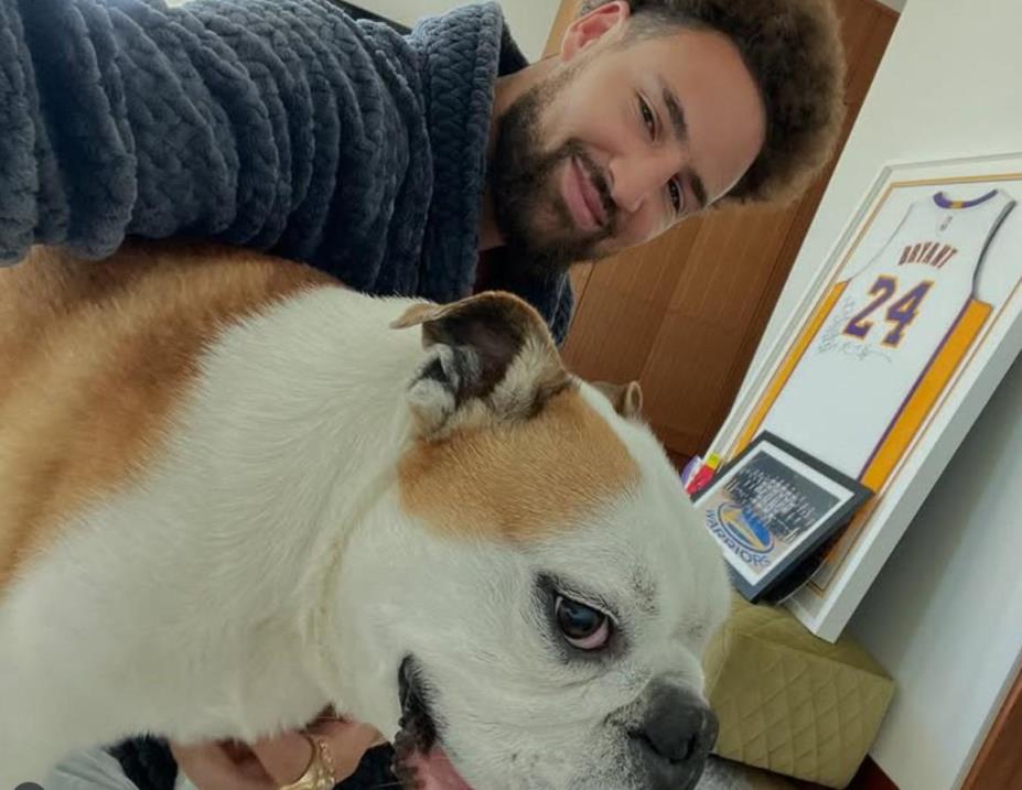 克莱告别爱犬Rocco：你将在狗狗的天堂里继续玩篮球