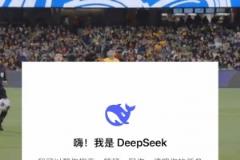 52岁里瓦尔多长传策动，50岁盖兹卡-门迭塔人球分过后轰出世界波