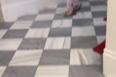 不敢想她有多幸福！勒布朗女兒朱莉在豪宅里和狗狗打球