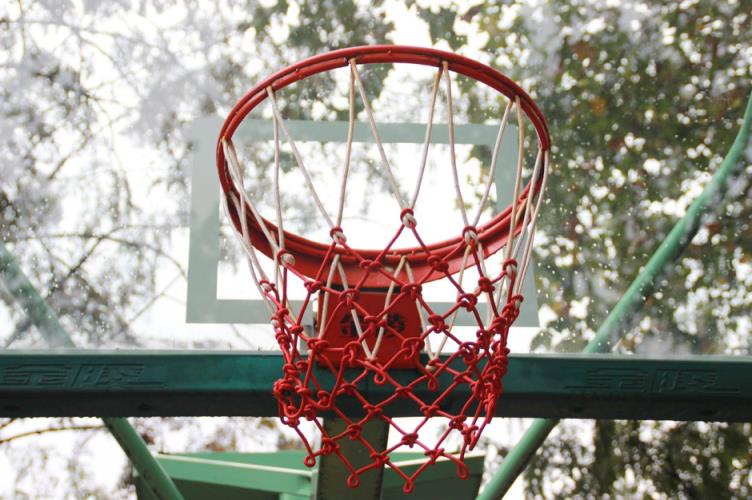 CBA青岛队无缘黑八，杨瀚森或成NBA备选，媒体人不看好 BR预测快船51号签选他