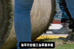 新諾坎普草皮每平方價(jià)值3臺(tái)蘋果手機(jī)，每年維護(hù)費(fèi)用高達(dá)200萬(wàn)