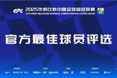 中超第12轮最佳球员候选：米内罗、莱切特、瓦科、古加、钟义浩