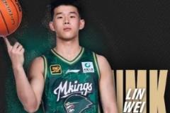 林葳投篮能力获球探认可 将接受NBA球队单独试训