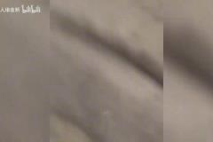 紐約之王！越到季后賽越硬！你覺(jué)得布倫森是季后賽前幾球星？