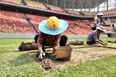 渝媒：龙兴足球场8000平方米草坪移植完成 保障达国际A级赛事标准